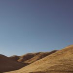 nickname1712076414261>