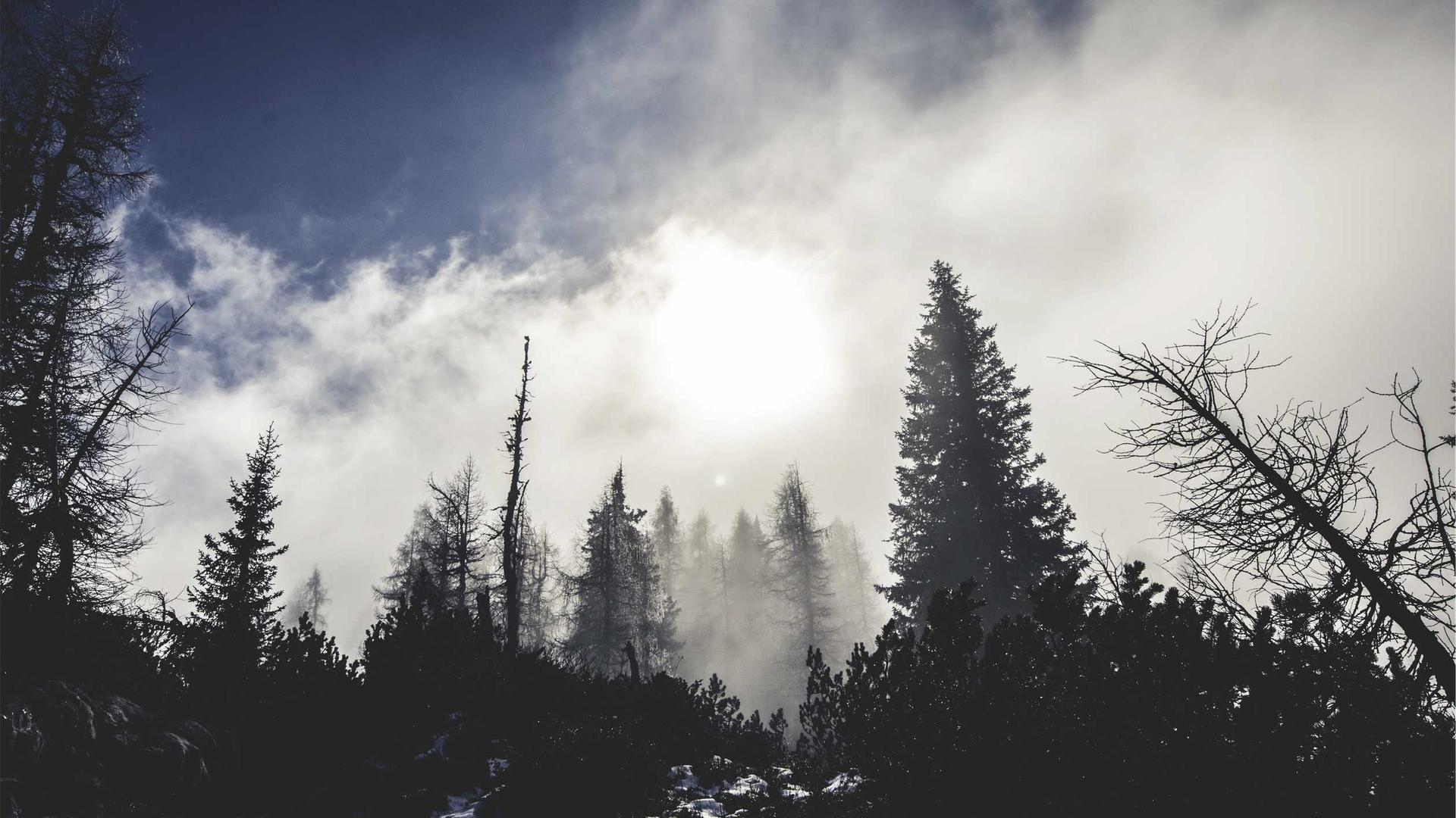 Nickname1773703929884