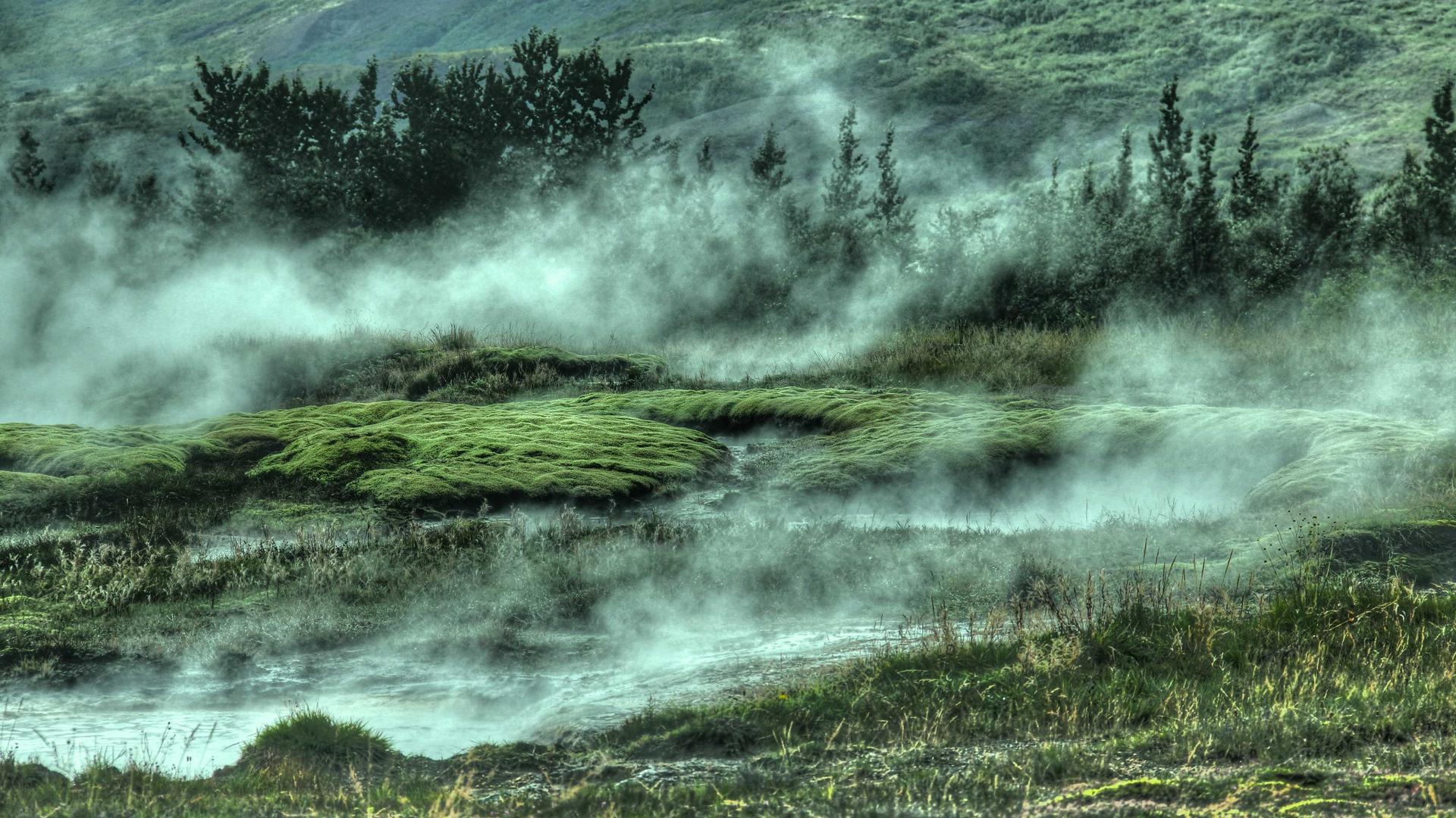 Nickname1773703931008